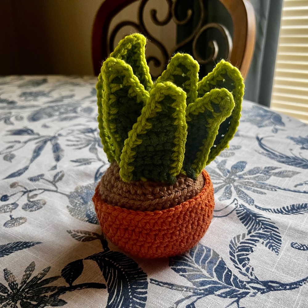 Handcrafted Green and Orange Crochet Plant Decor
